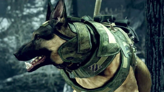 Activision собирается судиться с уборщиками собачьих экскрементов