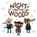 Обложка Night In The Woods
