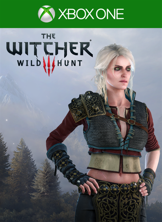 Стало известно следующее бесплатное дополнение для The Witcher 3: Wild Hunt
