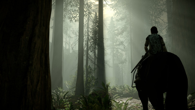 Shadow of the Colossus для PS4 выйдет в феврале