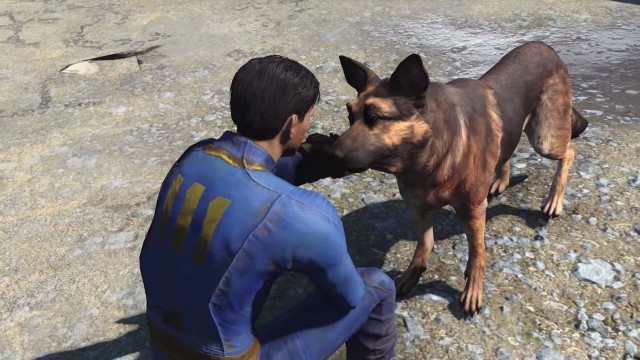 Собаке из Fallout 4 посвятили песню в стиле гранж