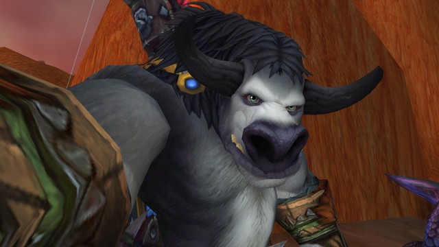 В World of Warcraft добавят камеру для селфи